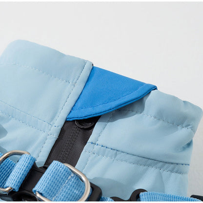 Autumn And Winter Dog, Small And Medium-sized Dog Teddy