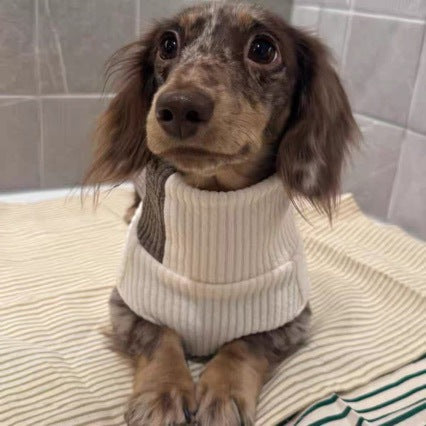 Fashionable Knitwear For Cats And Dogs Perfect For Fall And