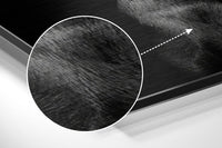 Dog and Gun Brushed Aluminum Dibond Wall Art