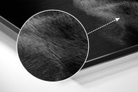 Dog and Gun Brushed Aluminum Dibond Wall Art