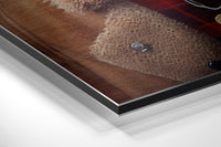 Mr. Dog Brushed Aluminum Dibond Wall Art