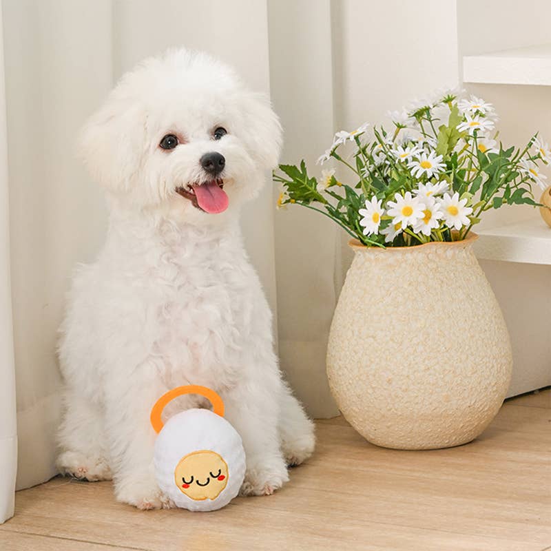 Hoppin' Easter Good Egg Super Ball Plush Dog Toy