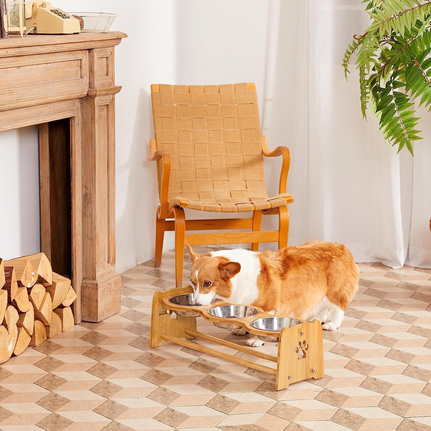 Adjustable bamboo pet feeding station with stainless steel bowls for dogs in a cozy interior setting