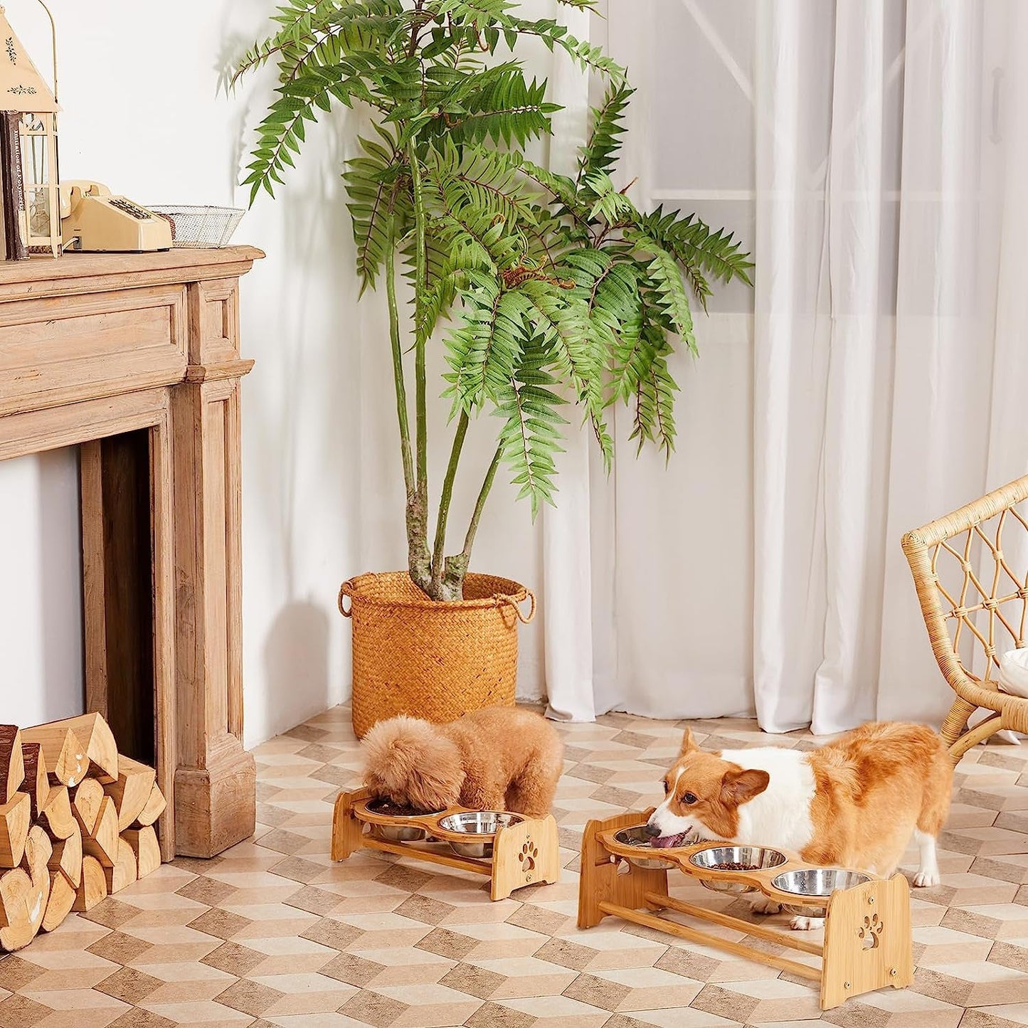 Adjustable bamboo pet feeding station with two bowls for dogs in a cozy interior setting