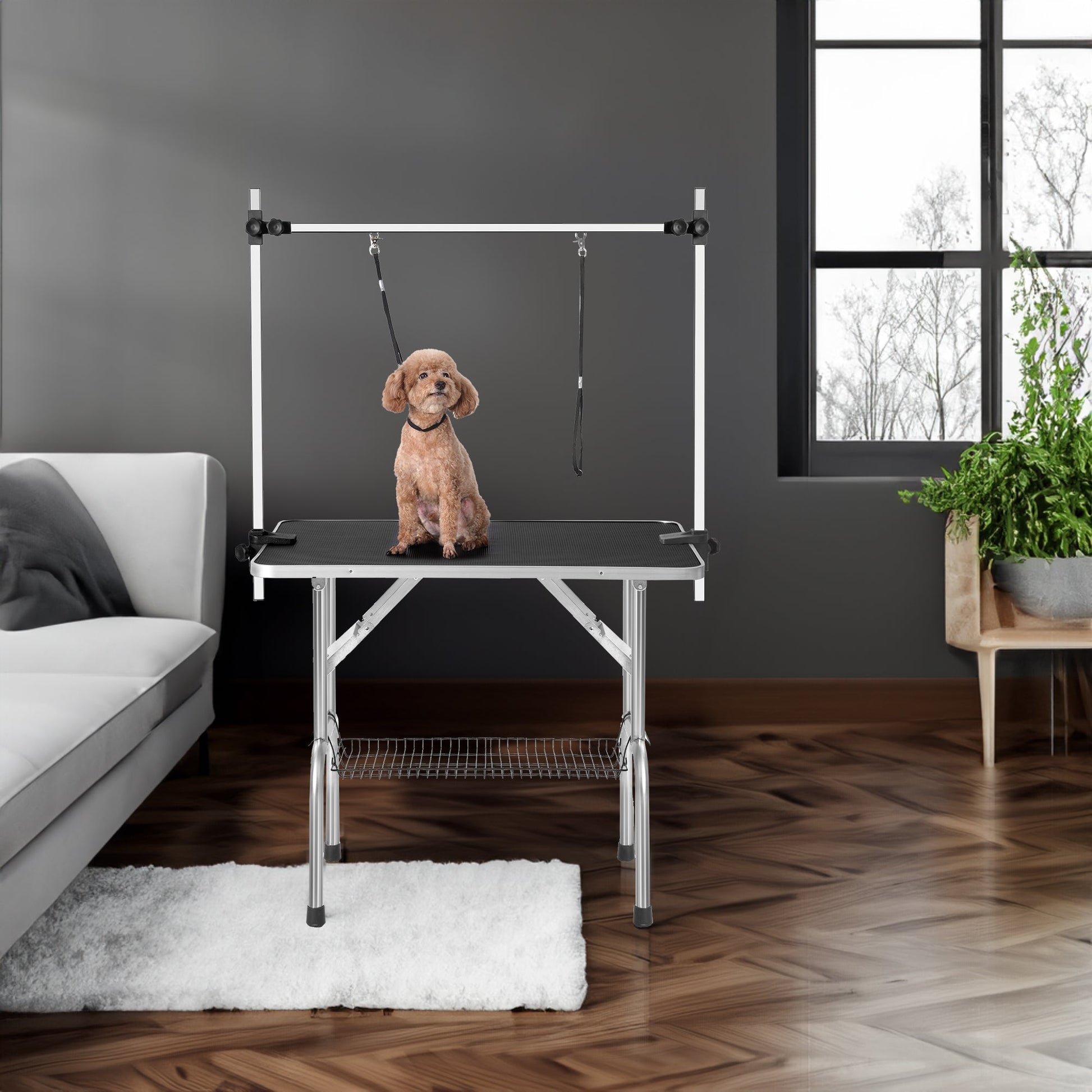 Adjustable dog grooming table with a poodle on it in a stylish indoor setting