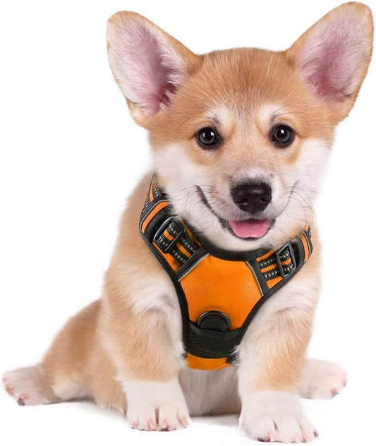 Cute puppy wearing an adjustable dog harness for large breed in orange and black by Purrfect Pet Kingdom