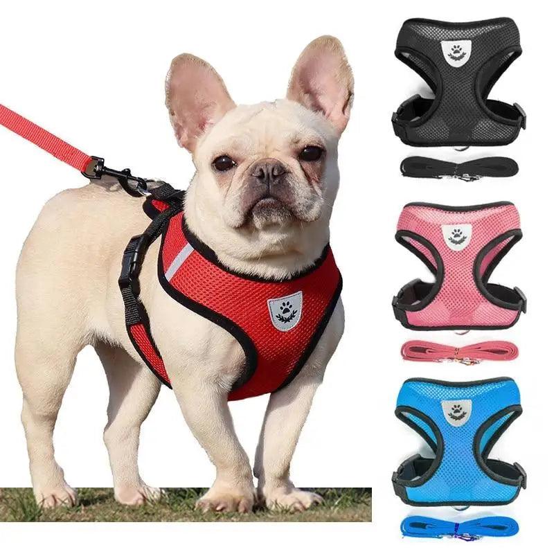 Purrfect Pet Kingdom Adjustable Dog Harness No-Pull Pet Harness Soft Padded Dog V (Red, S) - Premium Dog Harnesses