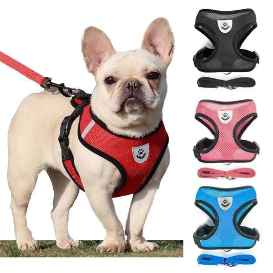 Purrfect Pet Kingdom Adjustable Dog Harness No-Pull Pet Harness Soft Padded Dog V (Red, S) - Premium Dog Harnesses