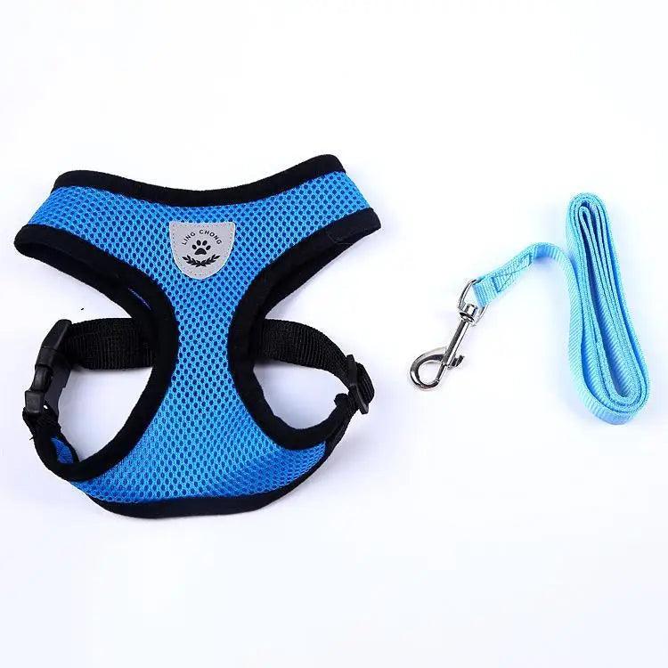 Purrfect Pet Kingdom Adjustable Dog Harness No-Pull Pet Harness Soft Padded Dog V (Blue, M) - Premium Dog Harnesses