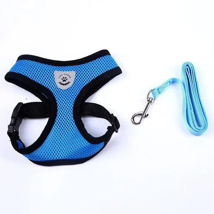 Purrfect Pet Kingdom Adjustable Dog Harness No-Pull Pet Harness Soft Padded Dog V (Blue, M) - Premium Dog Harnesses