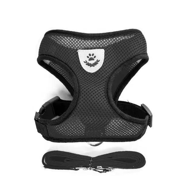 Purrfect Pet Kingdom Adjustable Dog Harness No-Pull Pet Harness Soft Padded Dog V (Pink, S) - Premium Dog Harnesses