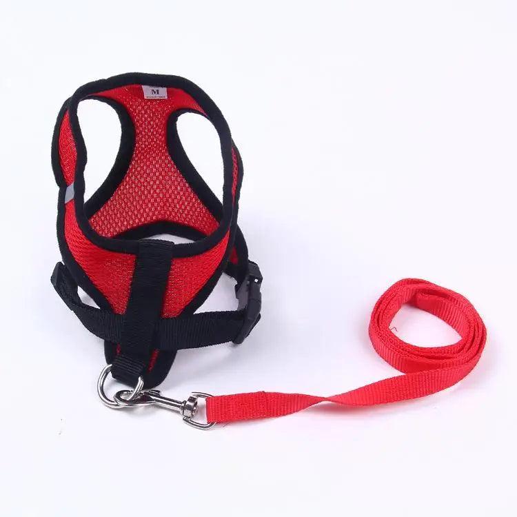 Red and black padded mesh dog harness with adjustable straps and matching red leash.