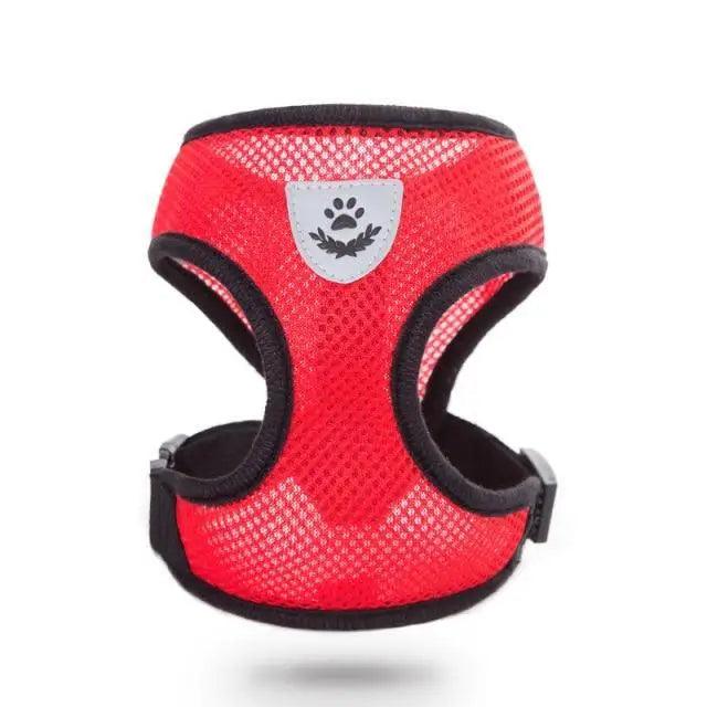 Purrfect Pet Kingdom Adjustable Dog Harness No-Pull Pet Harness Soft Padded Dog V (Blue, L) - Premium Dog Harnesses