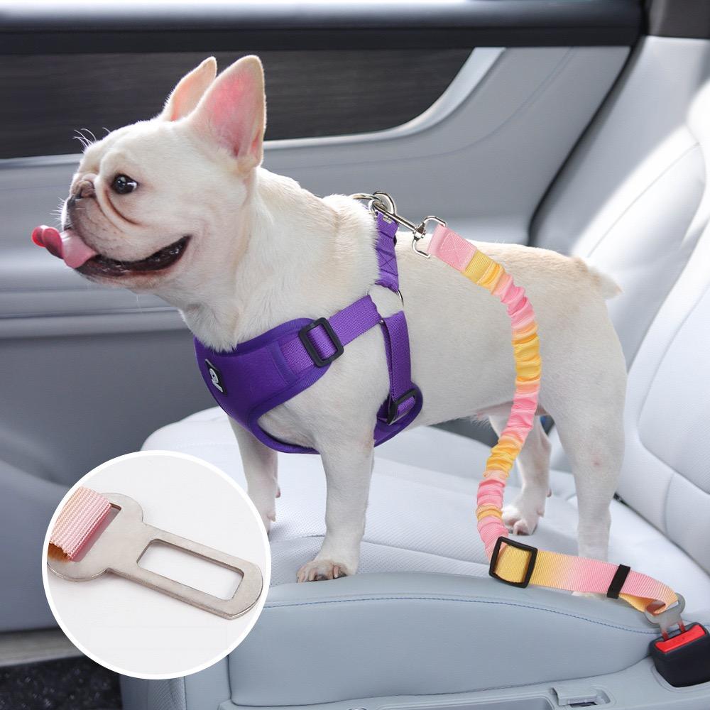 French Bulldog in a car harness with an adjustable pet car seat belt for safe travel