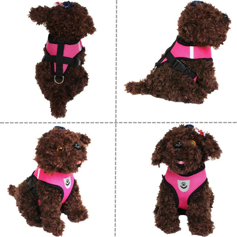 Adjustable Reflective Pet Harness With Leash 🦮 - Purrfect Pet Kingdom