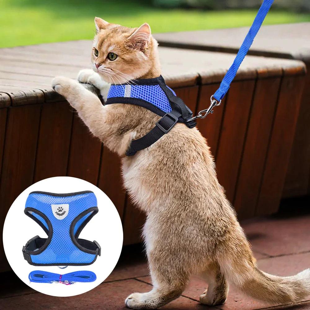 Adjustable Reflective Pet Harness With Leash 🦮 - Purrfect Pet Kingdom