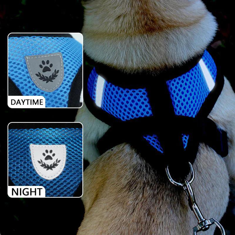 Adjustable Reflective Pet Harness With Leash 🦮 - Purrfect Pet Kingdom