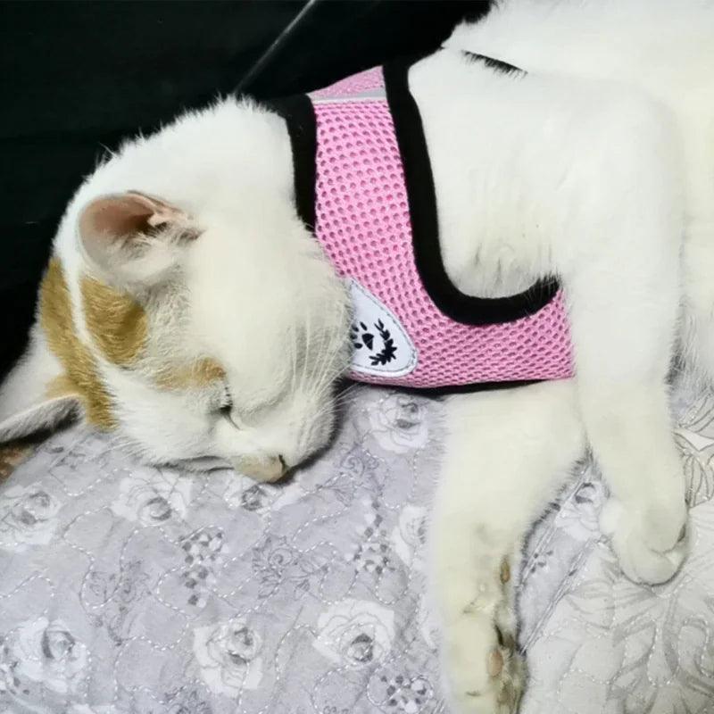 Adjustable Reflective Pet Harness With Leash 🦮 - Purrfect Pet Kingdom