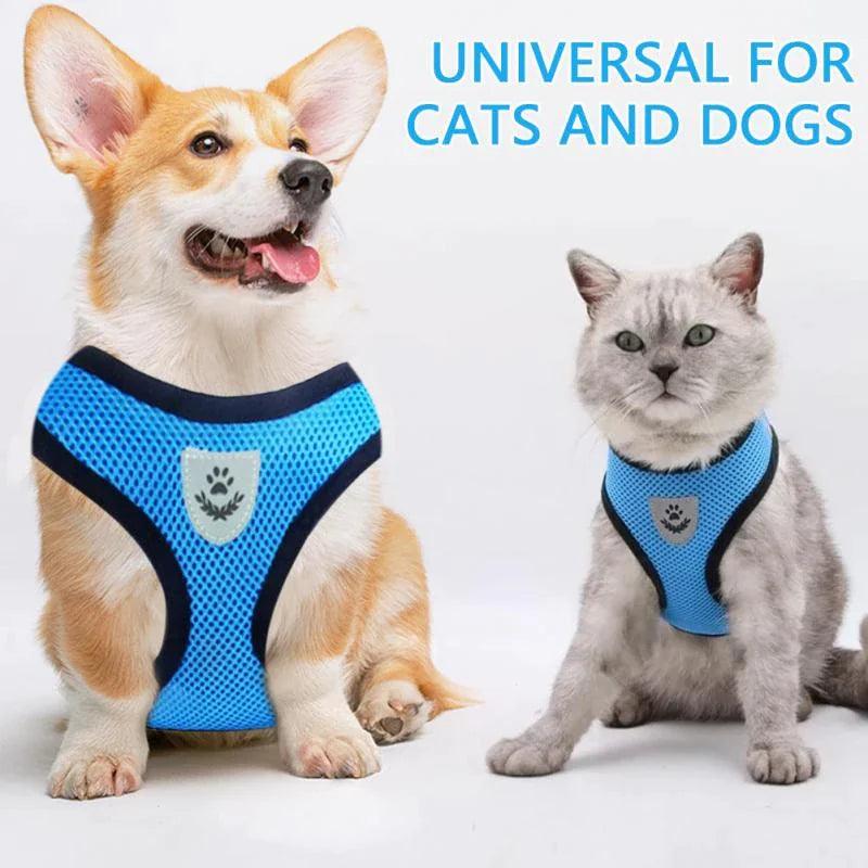 Adjustable Reflective Pet Harness With Leash 🦮 - Purrfect Pet Kingdom