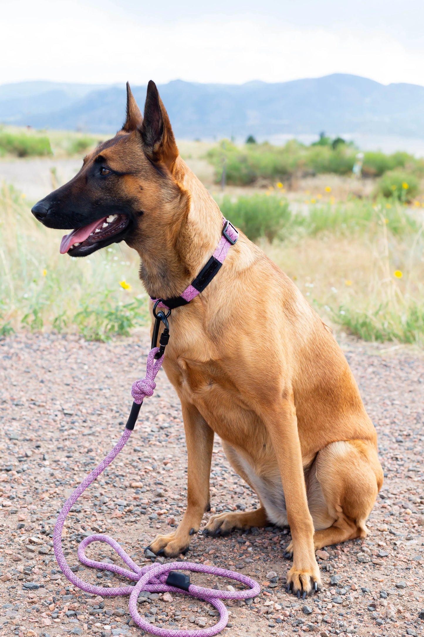 Adventure Style Mountain Blush Climbing Rope Dog Leash by Purrfect Pet Kingdom in a soft pink hue, perfect for outdoor adv...