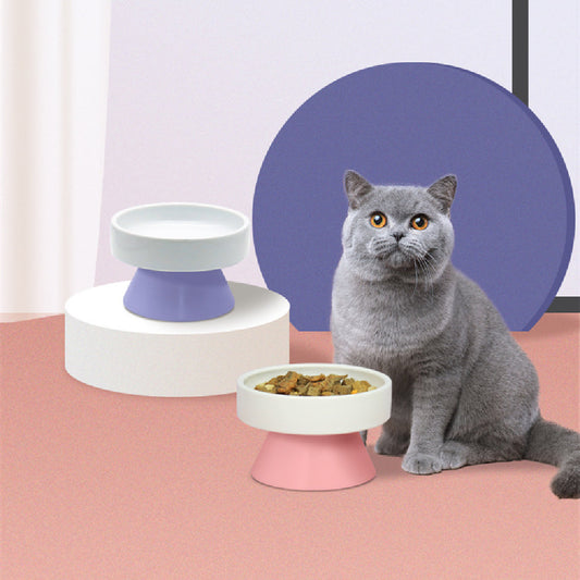 Pet Zen Elevated Ceramic Cat Bowl with Wide Mouth Neck Guard