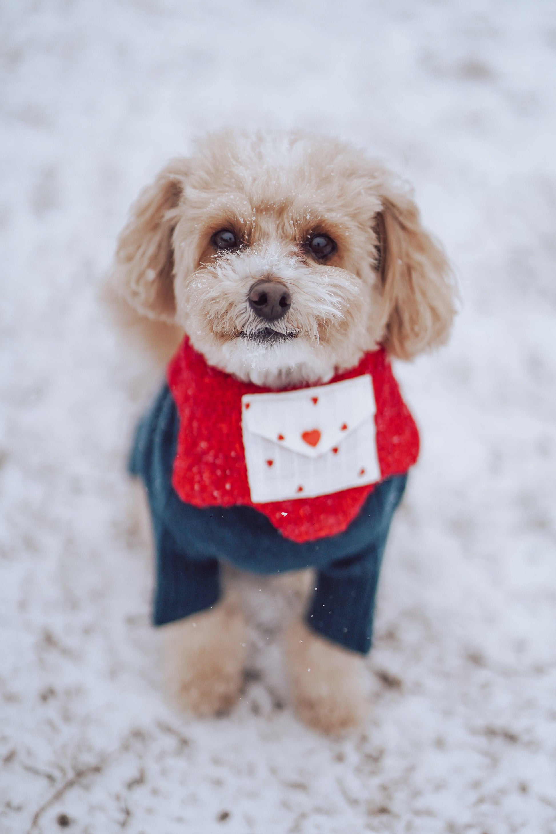 Love Note Reversible Handmade Bandana - BarkBarkBaby