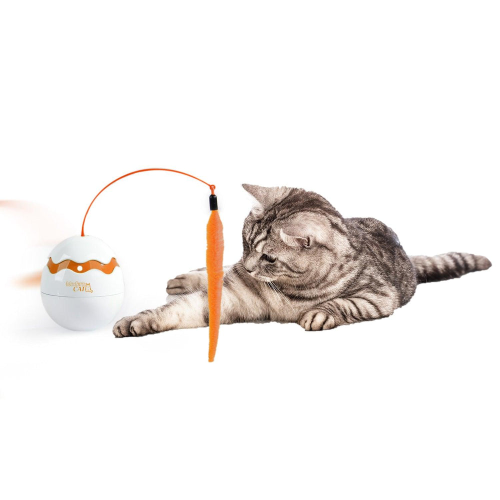 Modern Cat - Dinosaur Egg Spinner Cat Toy