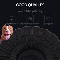 Mighty Rex - Mighty Flyer