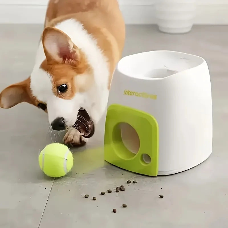 Tail Chasers automatic dog ball launcher designed for fun and interactive play sessions with pets