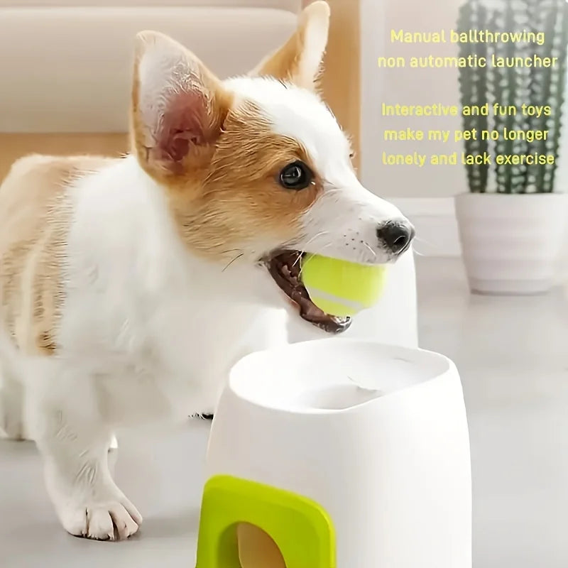Corgi retrieving a ball with an automatic dog ball launcher for interactive playtime