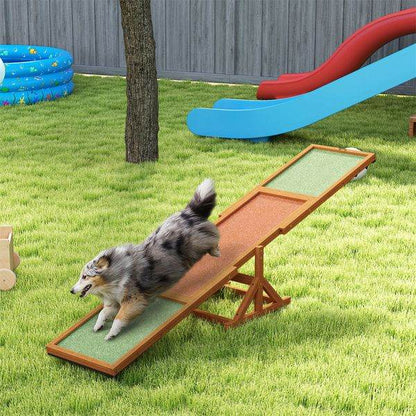 Purrfect Pet Kingdom Ramps & Steps Agility Course Equipment for Small Dogs Purrfect Pet Kingdom