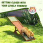 Purrfect Pet Kingdom Ramps & Steps Agility Course Equipment for Small Dogs as picture Purrfect Pet Kingdom
