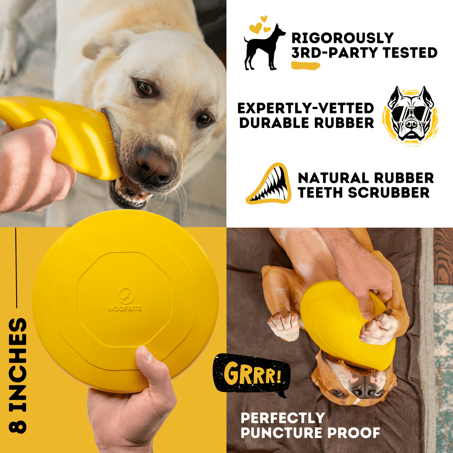 Air Disc - Flying Fetch Toy Ultimate 🥏