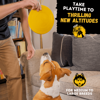 Air Disc - Flying Fetch Toy Ultimate 🥏