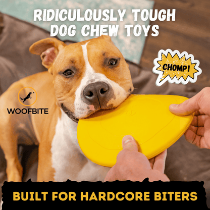 Air Disc - Flying Fetch Toy Ultimate 🥏