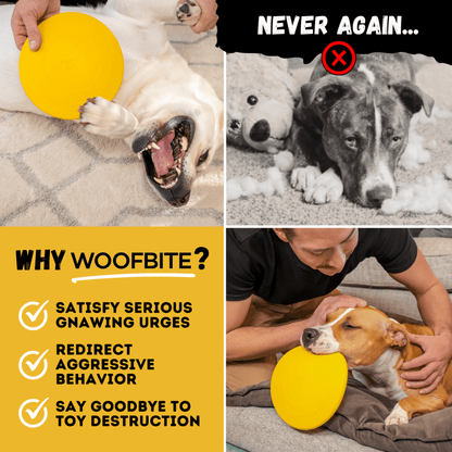 Air Disc - Flying Fetch Toy Ultimate 🥏