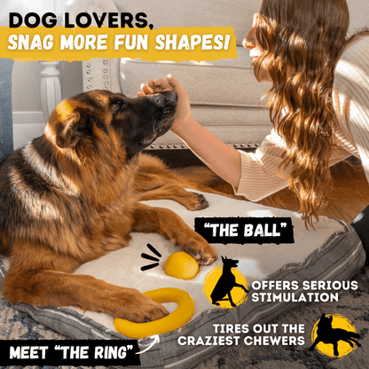 Air Disc - Flying Fetch Toy Ultimate 🥏