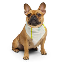 Sebastian & Clementine Neon Lines Bandana For Dogs and Cats