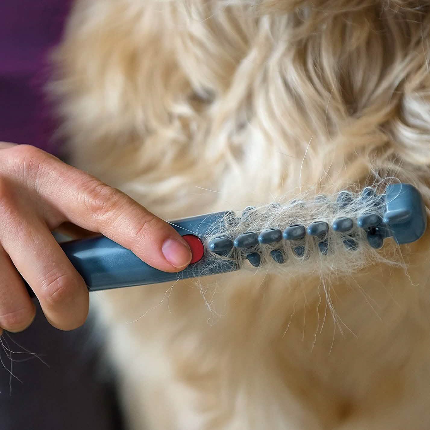 Allstar Innovations Electric Pet Grooming Comb