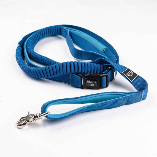 Purrfect Pet Kingdom Durable Runner Leash for Dogs Purrfect Pet Kingdom