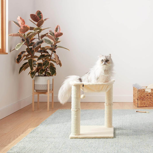 Purrfect Pet Kingdom Cat Scratching Post with Dangling Ball Purrfect Pet Kingdom