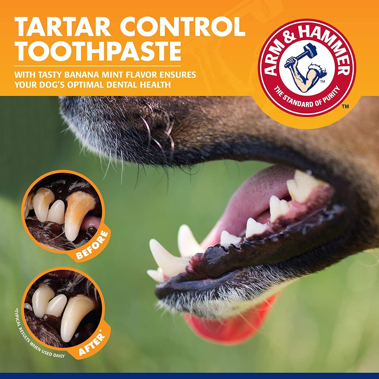 Dog dental care kit featuring Arm and Hammer Tartar Control Toothpaste with banana mint flavor for optimal dental health