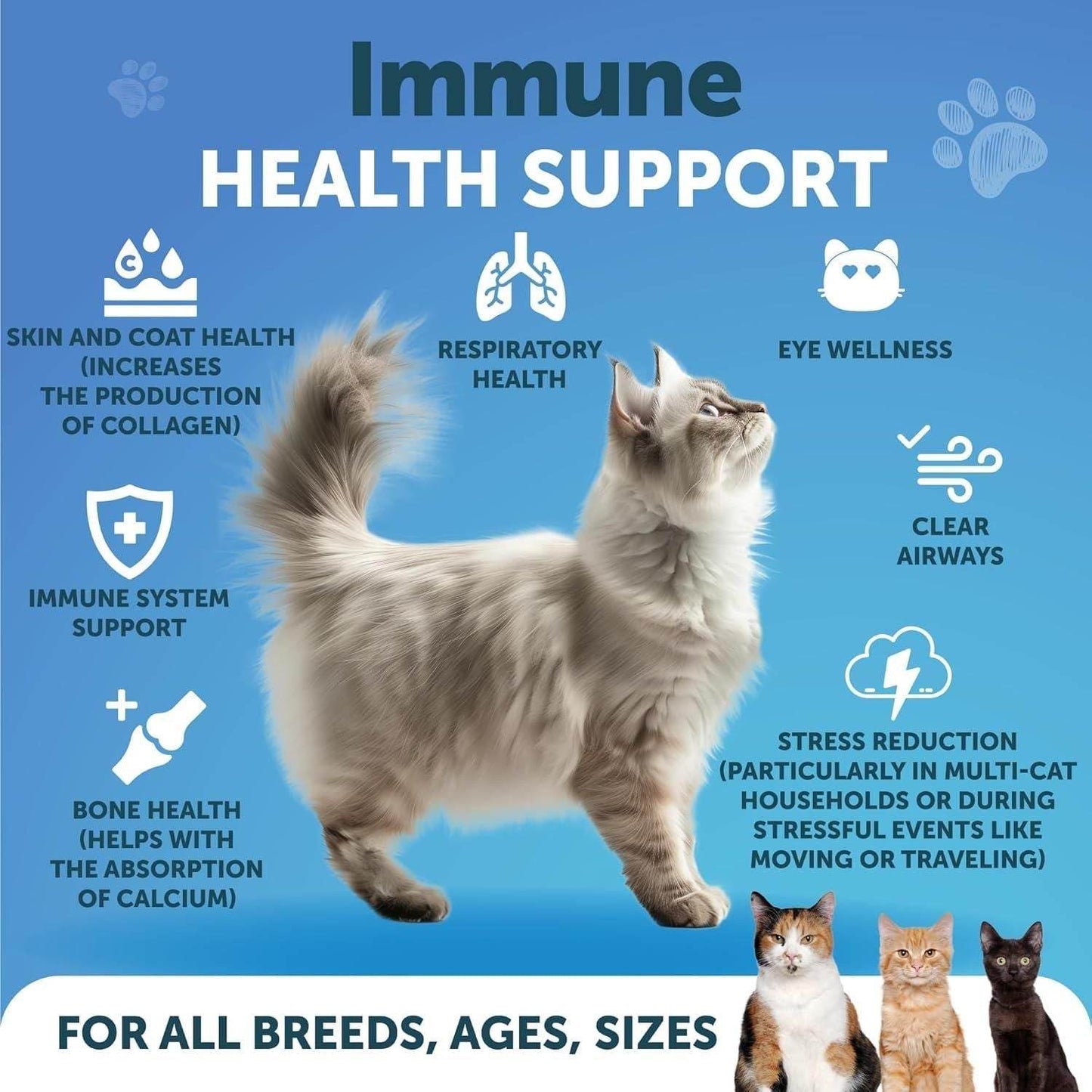 Purrfect Pet Kingdom Best Natural Cat Immune Booster Purrfect Pet Kingdom