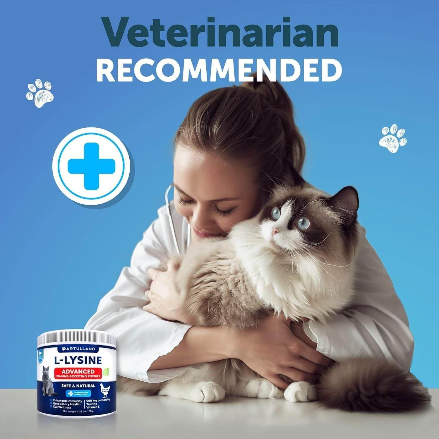 Purrfect Pet Kingdom Best Natural Cat Immune Booster Purrfect Pet Kingdom