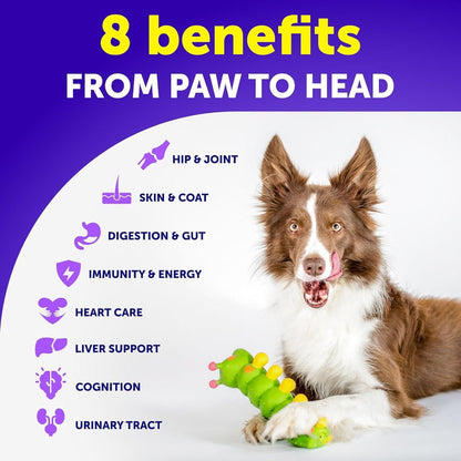 Purrfect Pet Kingdom Dog Multivitamin Chewable Supplements 20-in-1 Purrfect Pet Kingdom