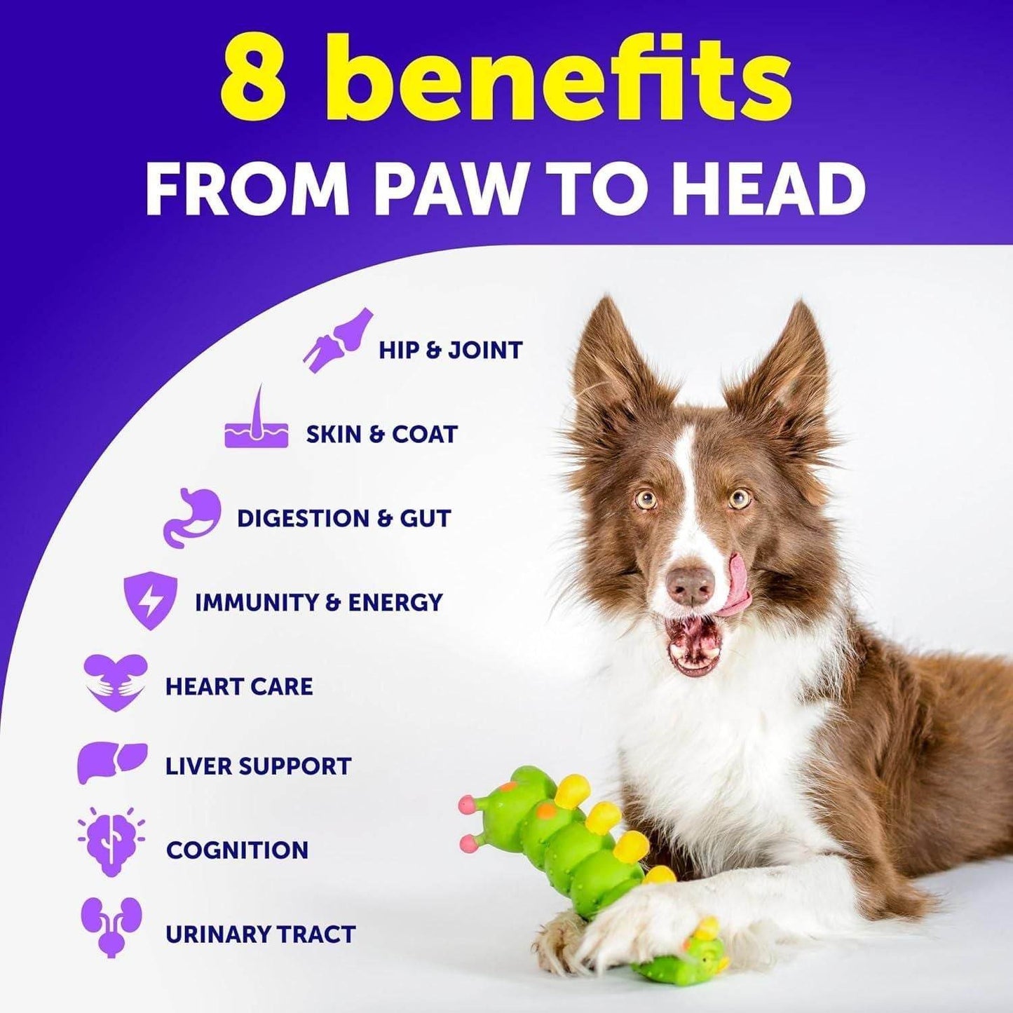 Purrfect Pet Kingdom Natural Dog Vitamins for Immune System 20-in-1 Purrfect Pet Kingdom