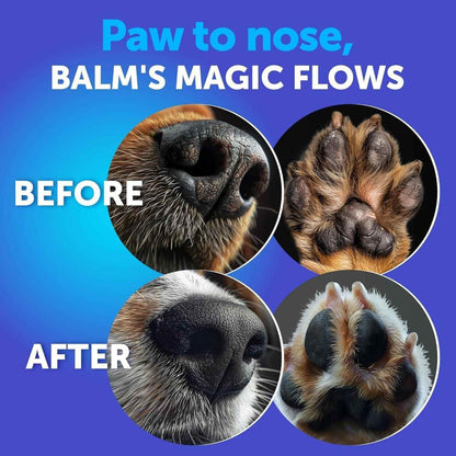 Before and after images showing pet nose and paw healing using royal paw moisturizer for cats and dogs