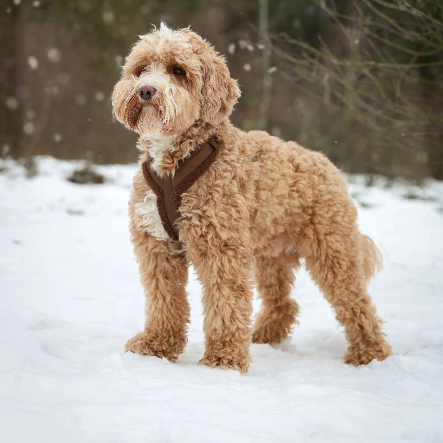 Dog Harnesses 'Brown' Sherpa Dog Harness Premium Pet Supply