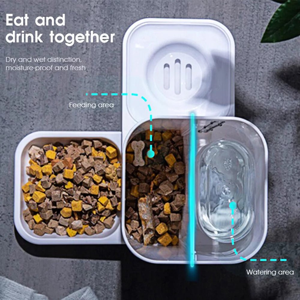 Automatic feeders for pets with separate areas for food and water, ideal auto pet feeder for cats and dogs