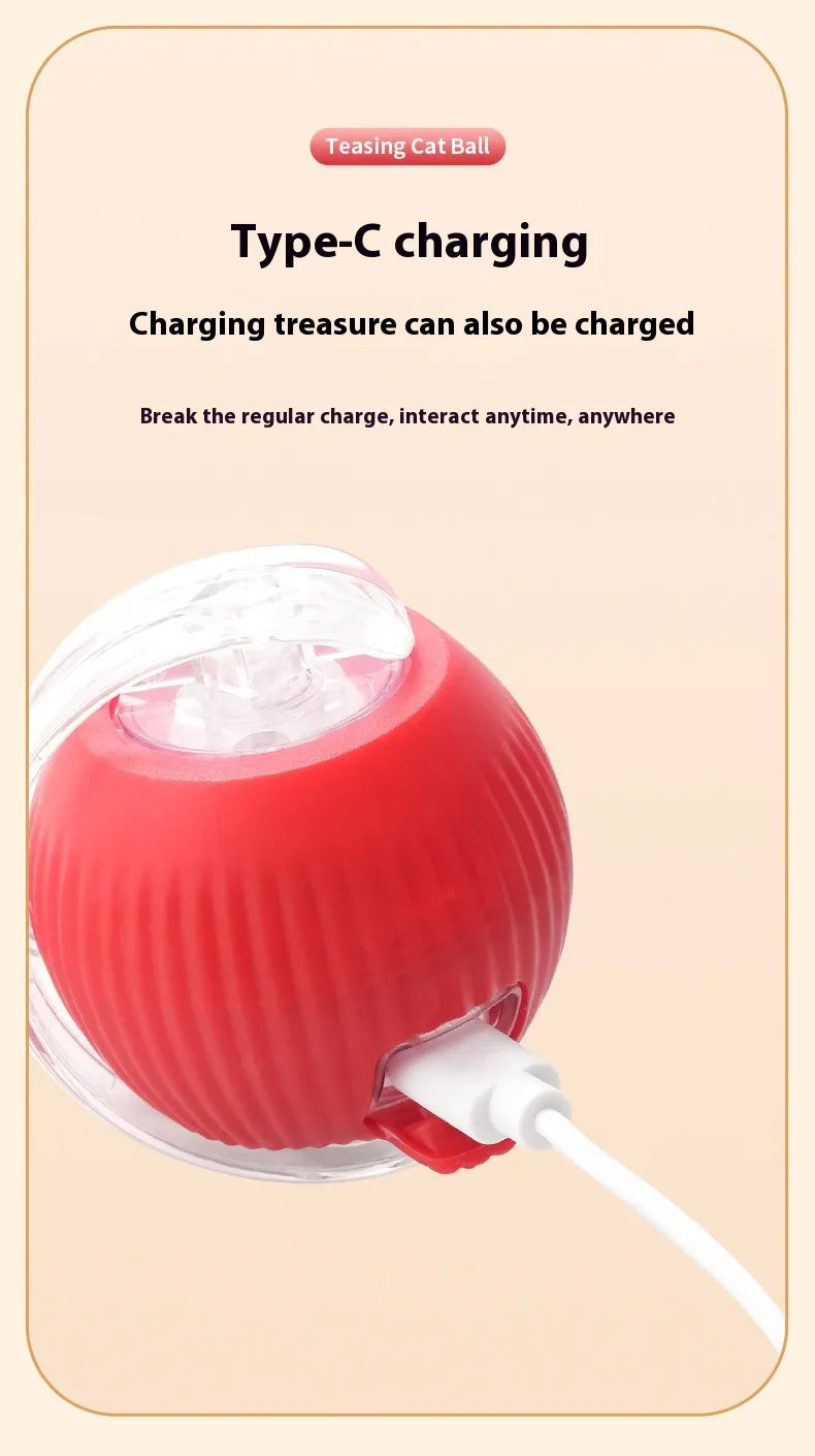 Tail Chasers automatic cat ball toy with Type-C charging for endless feline fun